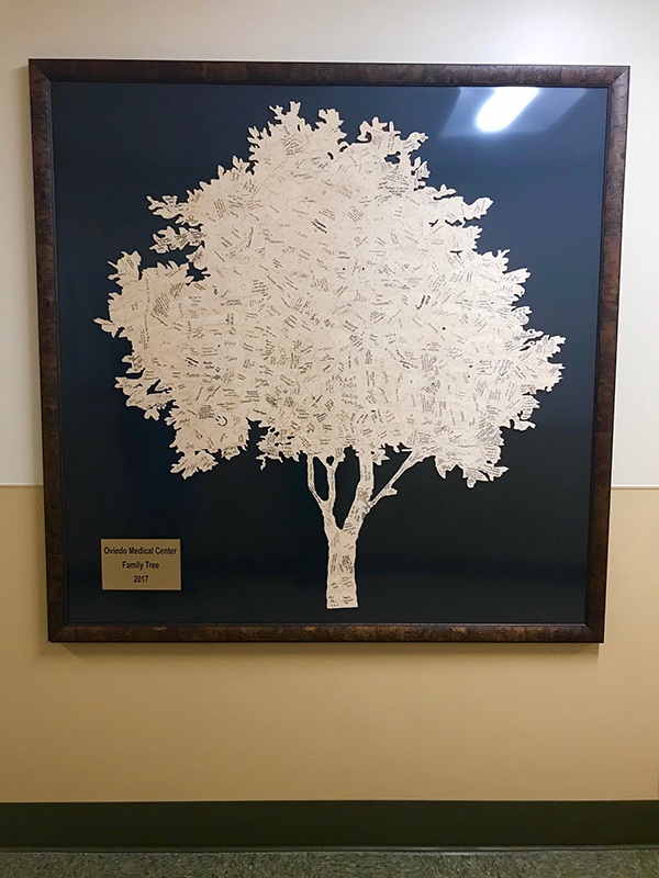 Oviedo Medical Center tree